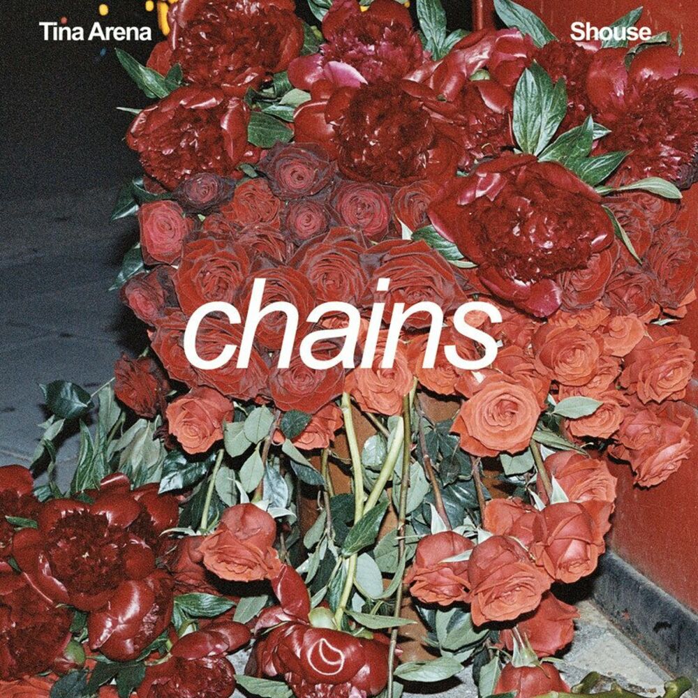 Picture of Chains (Extended Mix)
