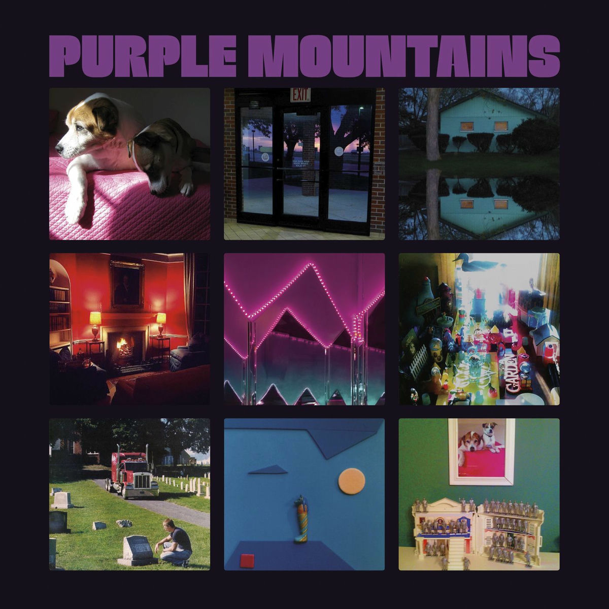Album picture of Purple Mountains