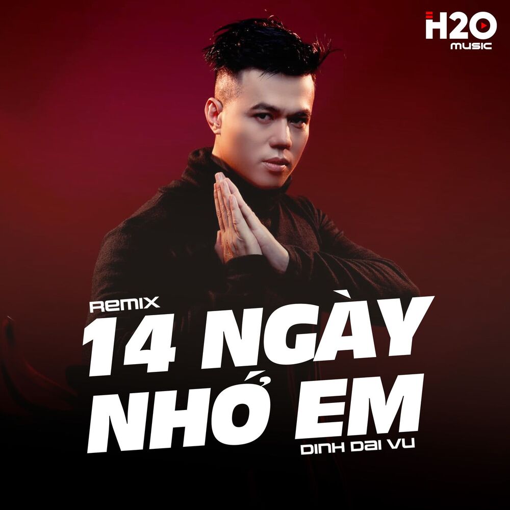 Picture of 14 Ngày Nhớ Em (Remix)