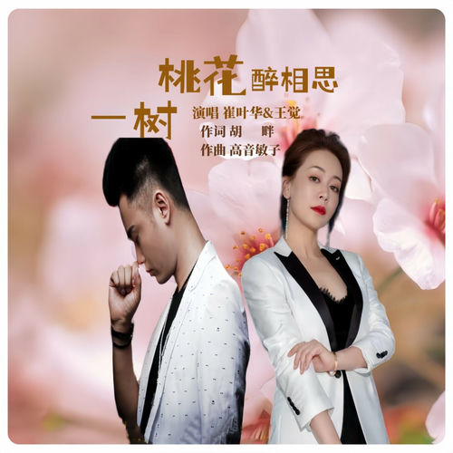 一树桃花醉相思 (水兵舞版)