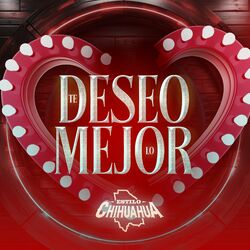 Cover of TE DESEO LO MEJOR