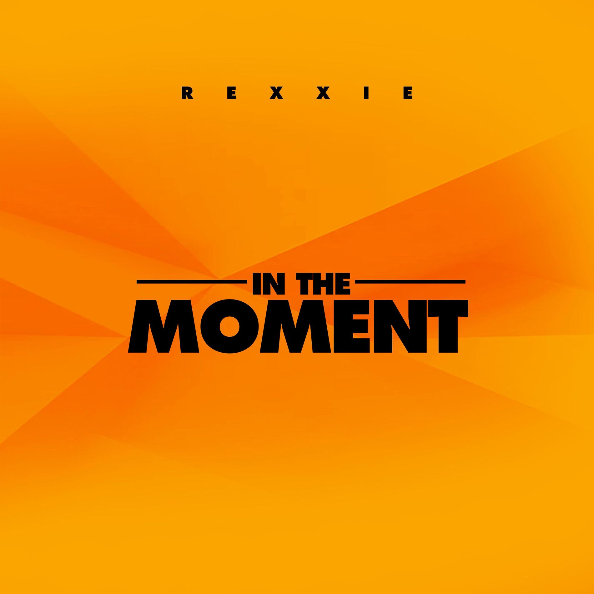 Album cover of In the Moment