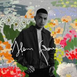 Slow Flow (Remixes)