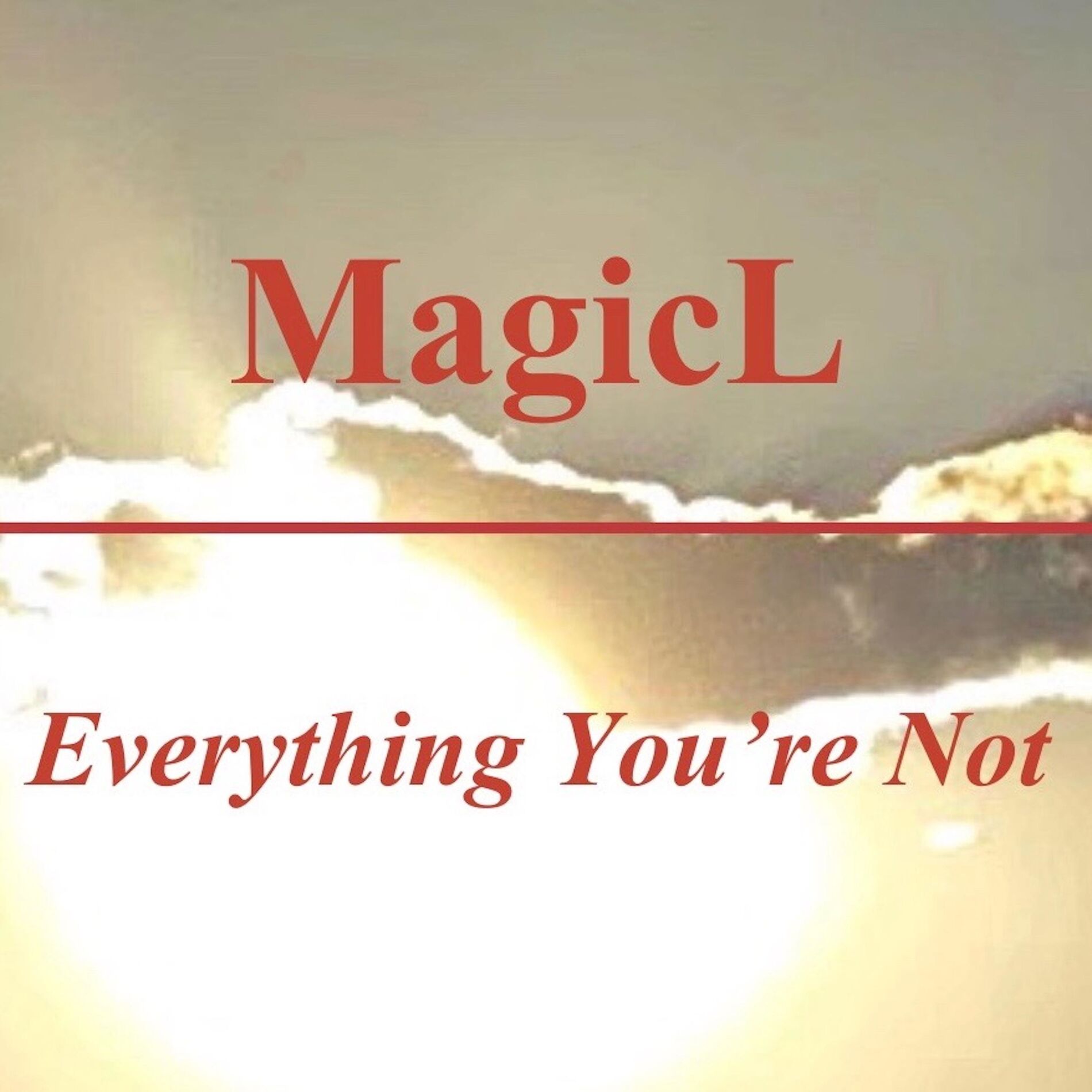 Album cover of Everything You're Not
