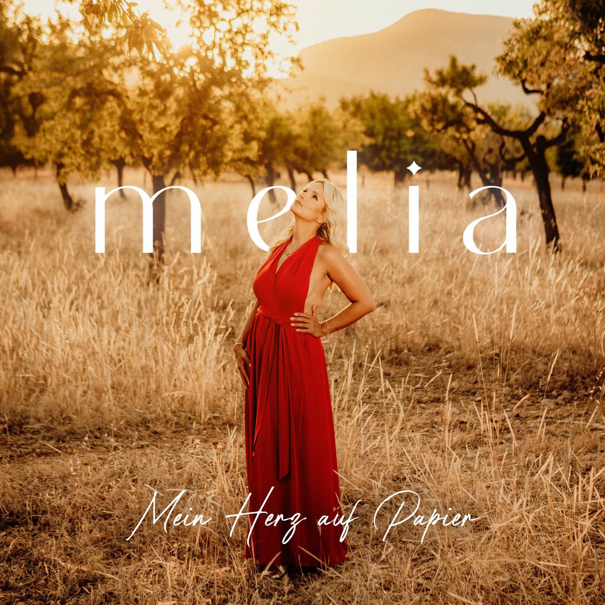 Album cover of Mein Herz auf Papier