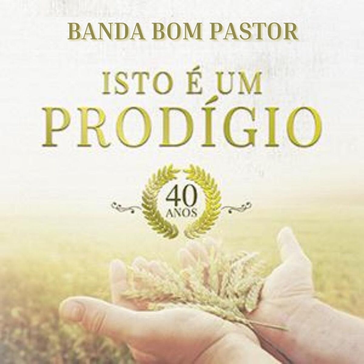 Album cover of Isso É um Prodígio - 40 Anos