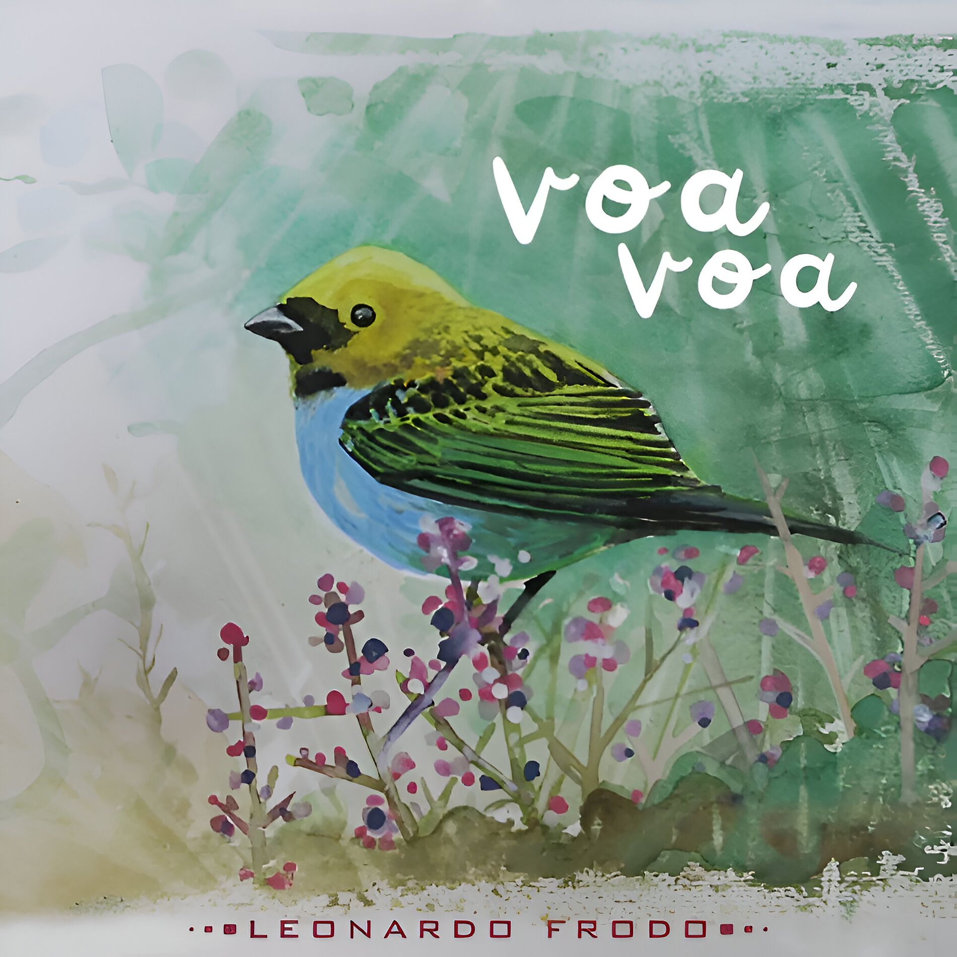 Album cover of Voa Voa