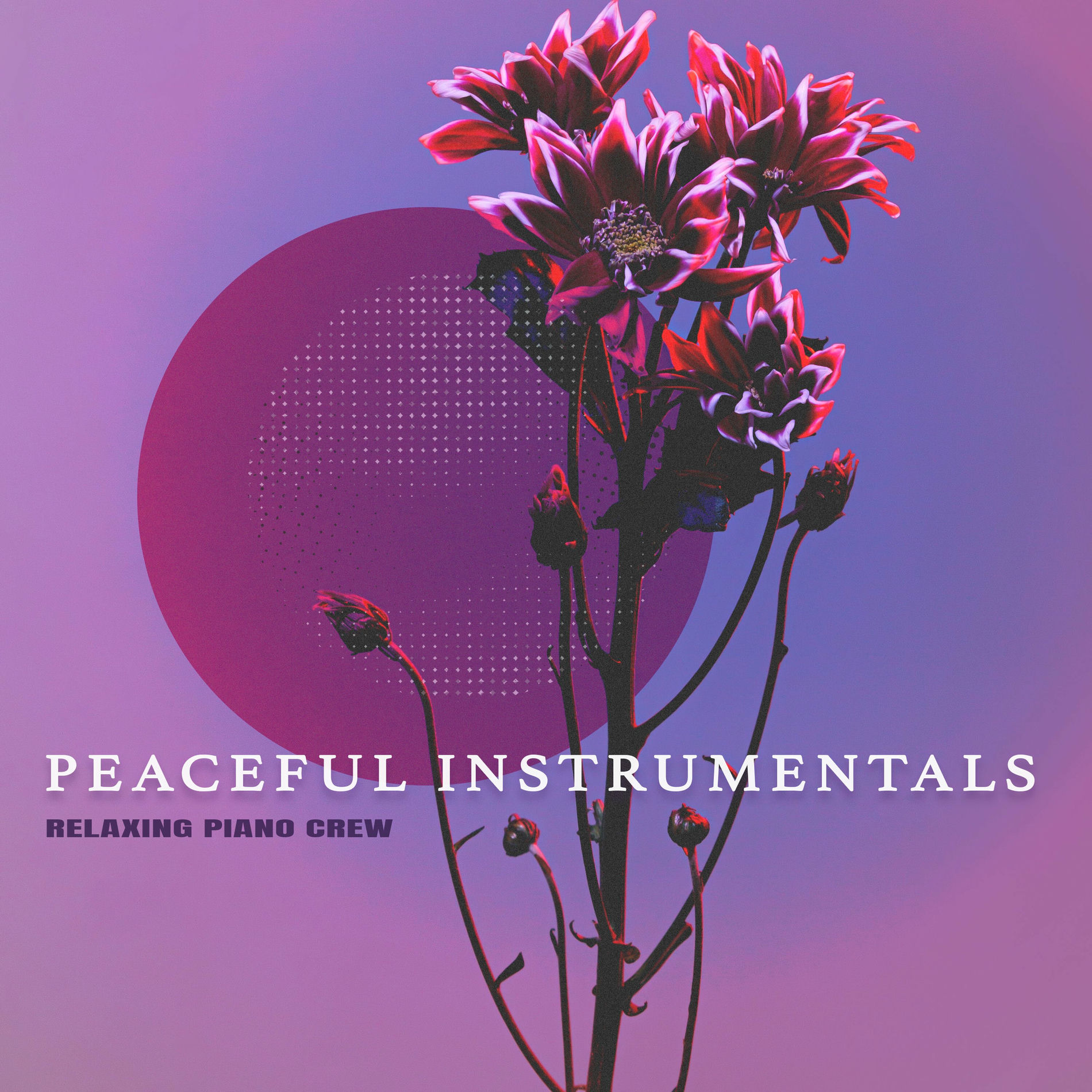 Album cover of Peaceful Instrumentals