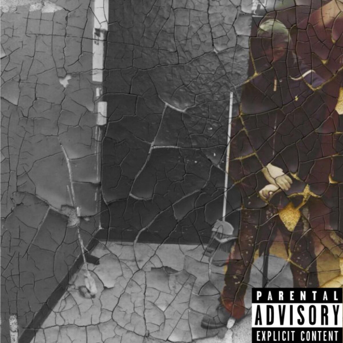 Album cover of The Black Sonny Corleone