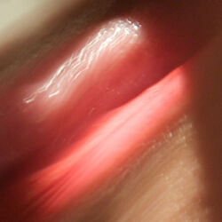 Cover of Licking Skin