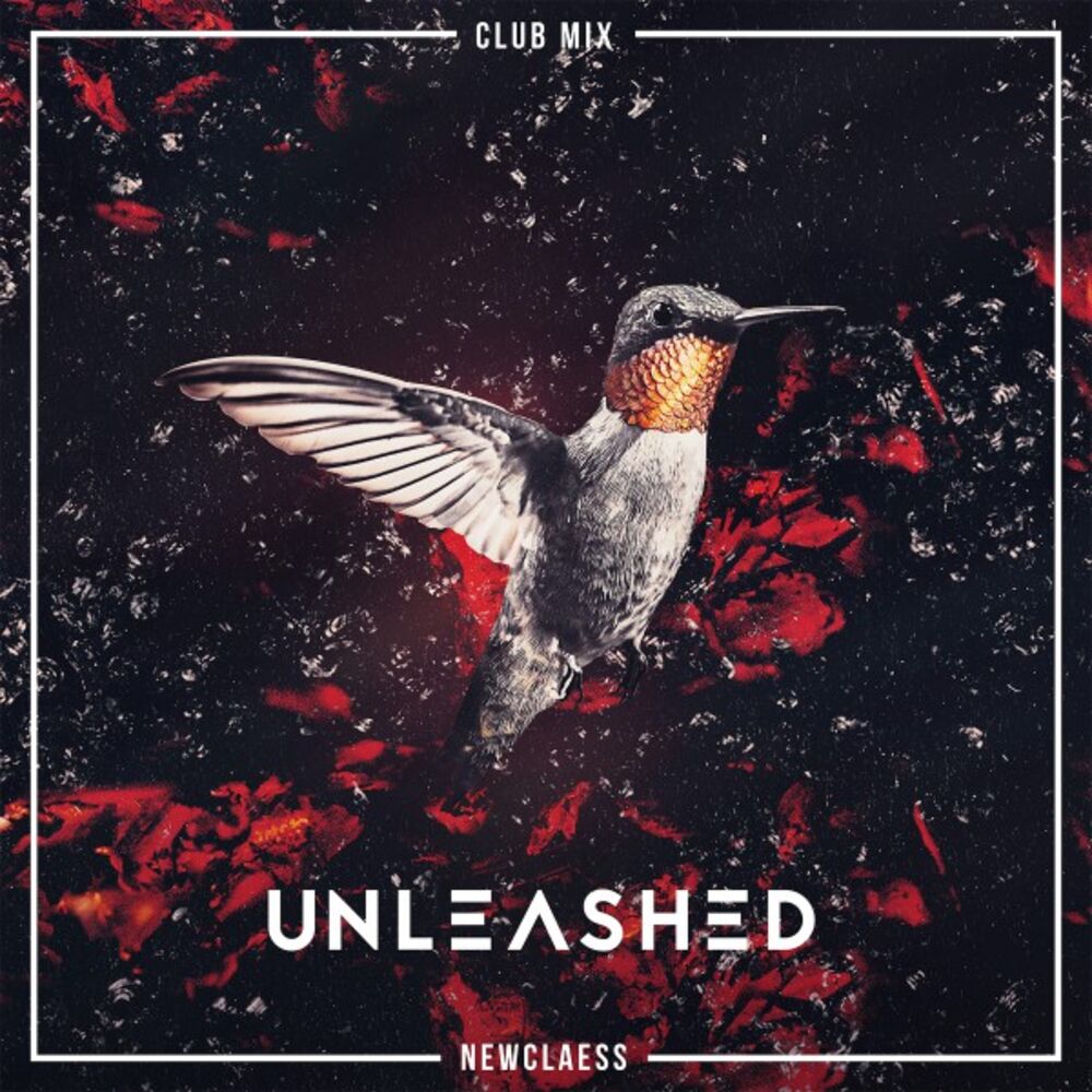 Picture of Unleashed (Club Mix)
