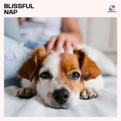 Cover of Blissful Nap: Pet Sleep Music by undefined