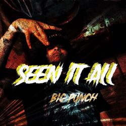 Cover of Seen It All