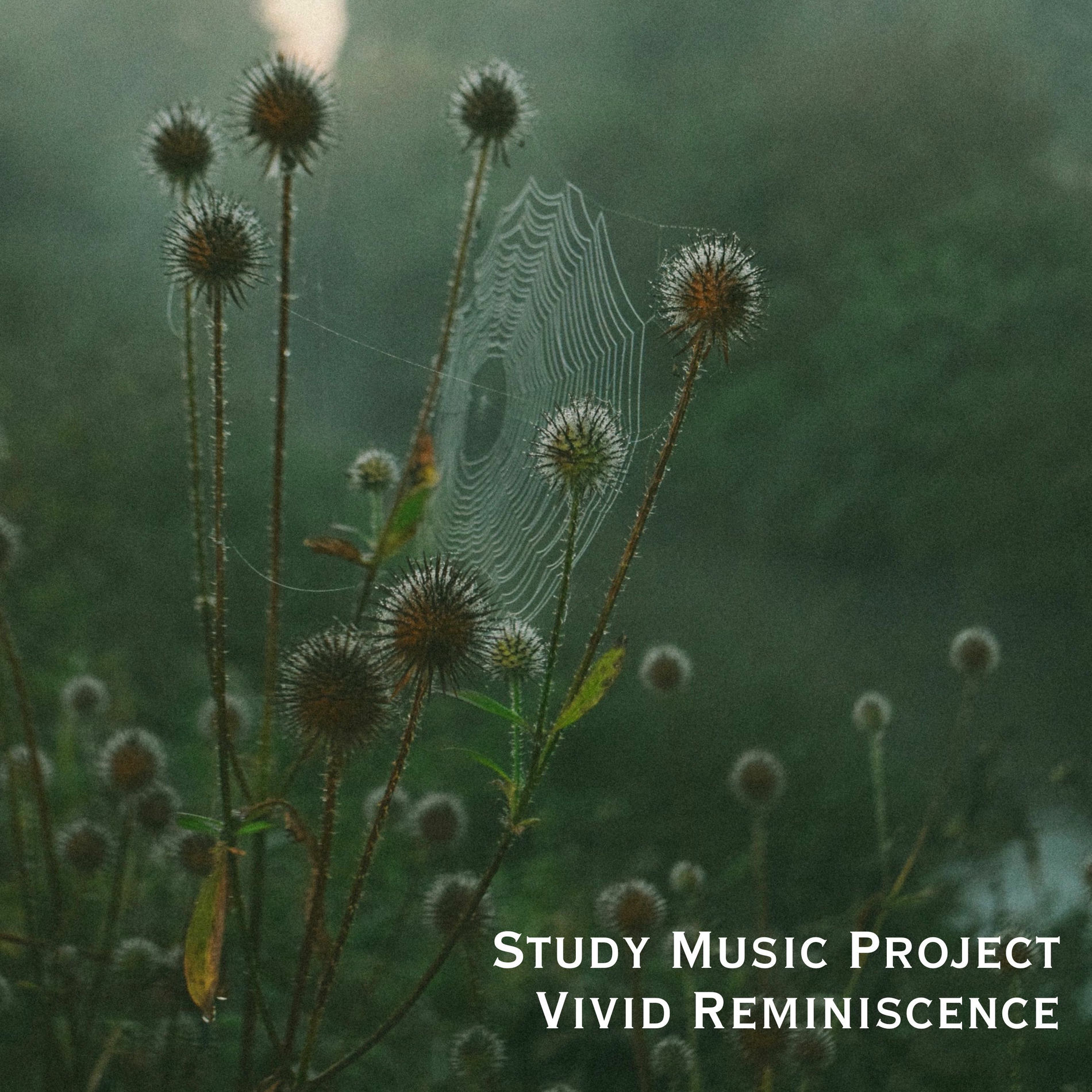 Album cover of Vivid Reminiscence