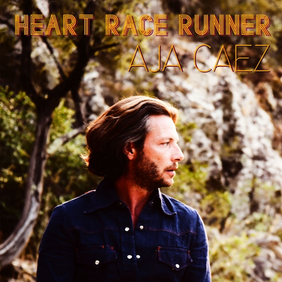 Album cover of Heart Race Runner