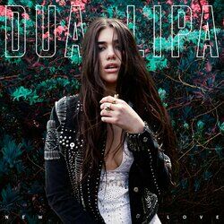 Cover of New Love