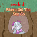 Where Did the Sun Go