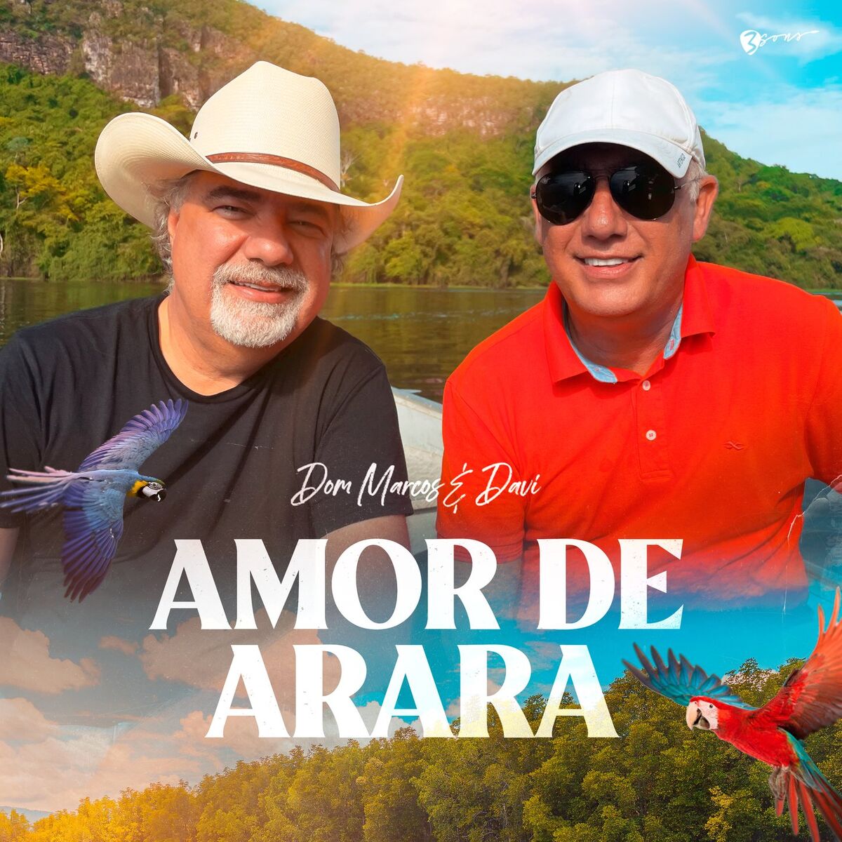 Album cover of Amor de Arara
