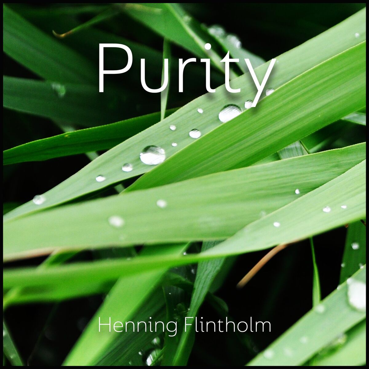 Album cover of Purity