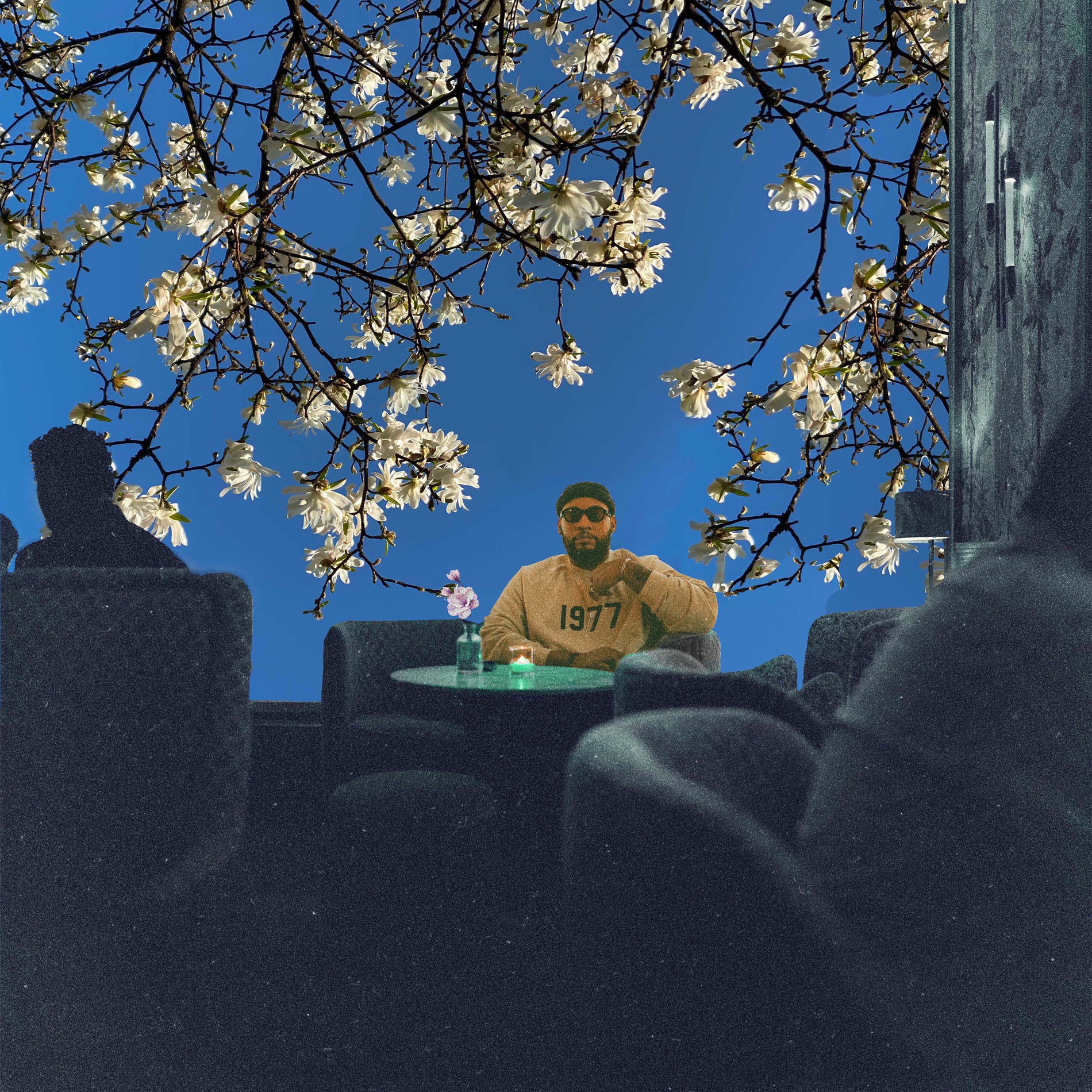 Album cover of The Garden