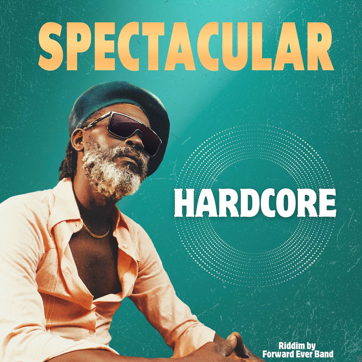Album cover of Hardcore