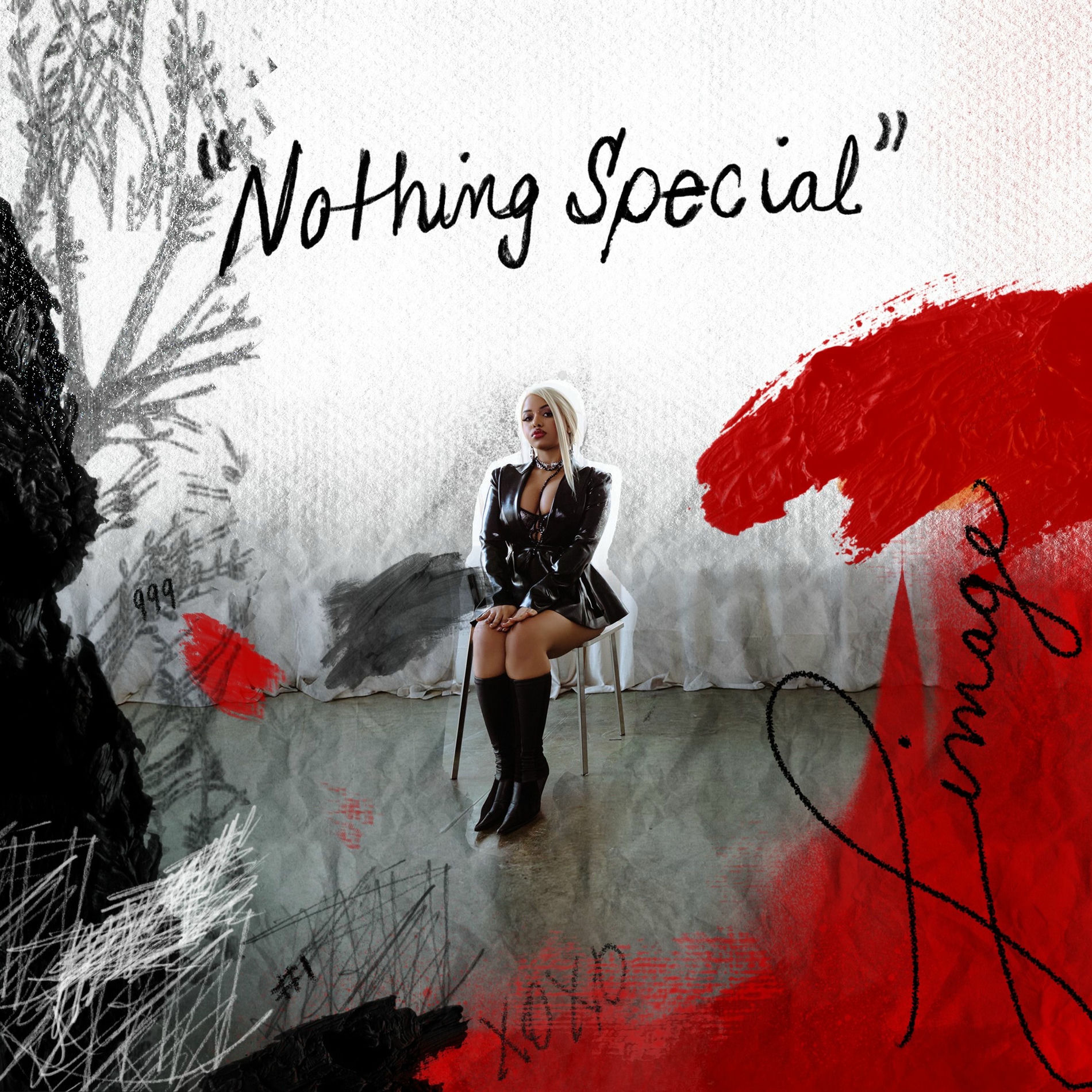 Album cover of Nothing Special