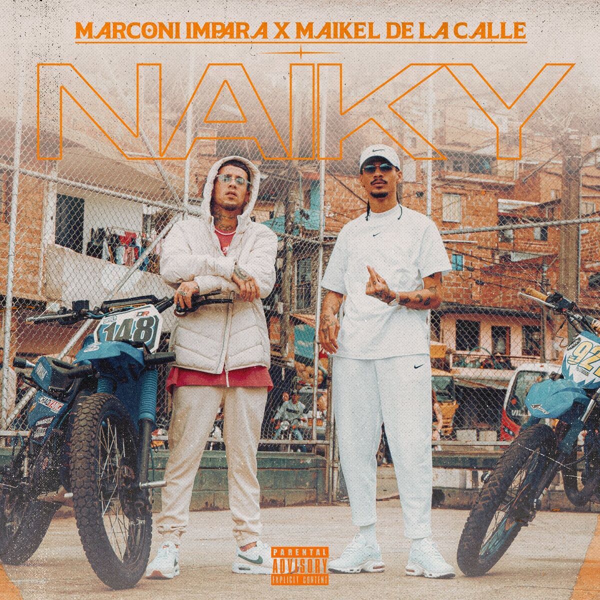 Album cover of Naiky