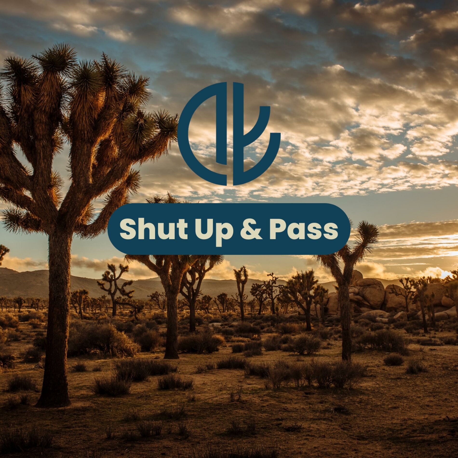 Album cover of Shut Up & Pass