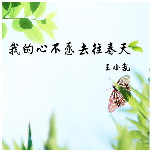 我的心不愿去往春天
