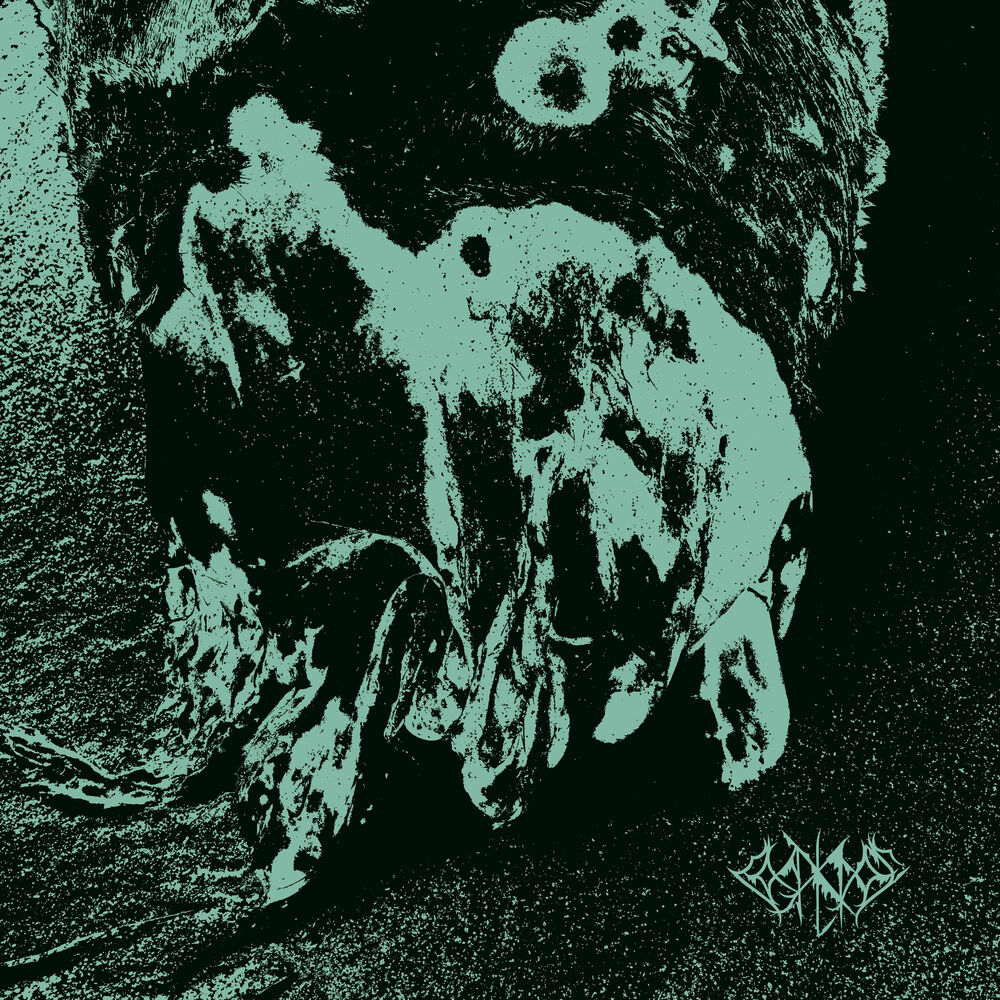 Picture of Coral Cross - 002