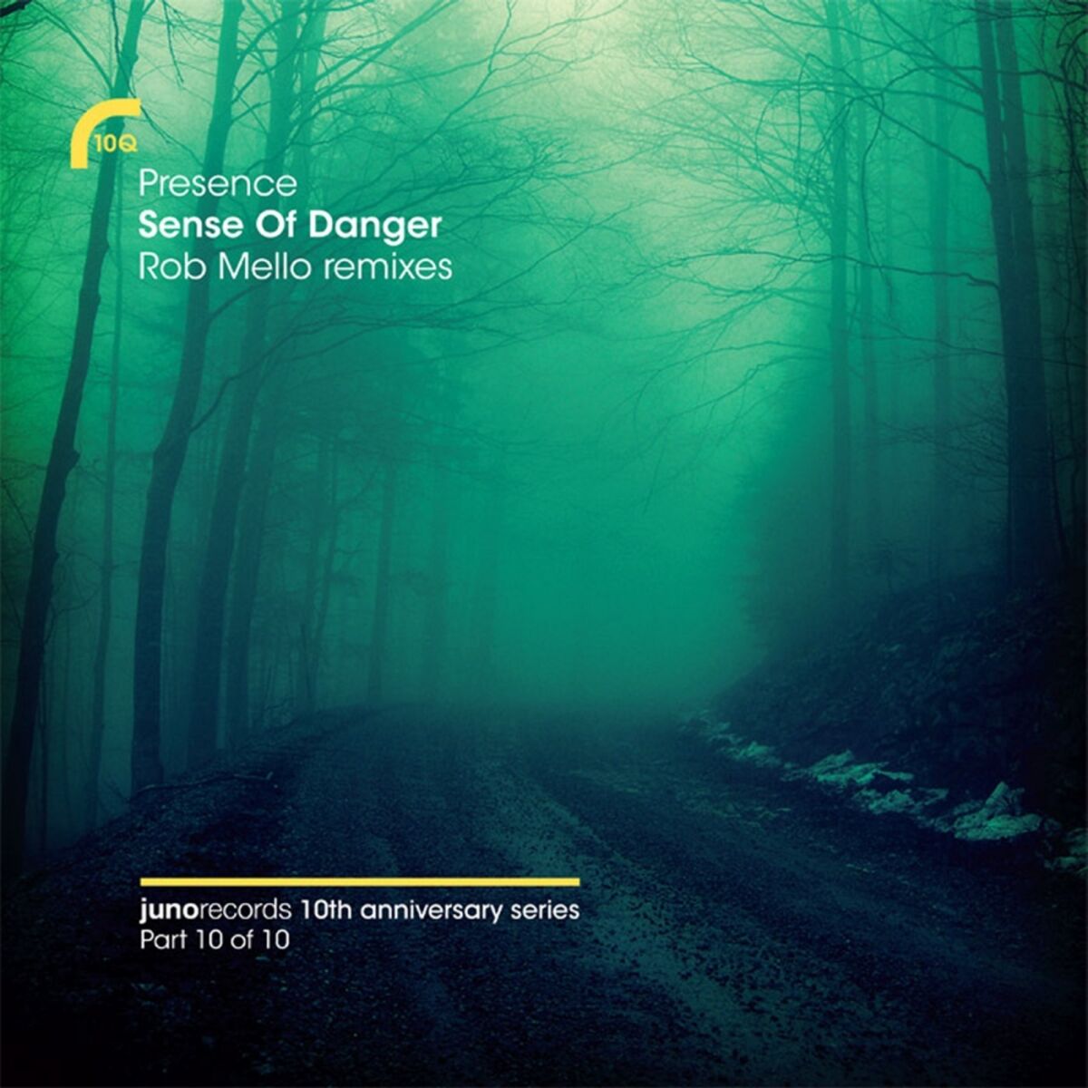 Album cover of Sense Of Danger (Rob Mello Remixes)