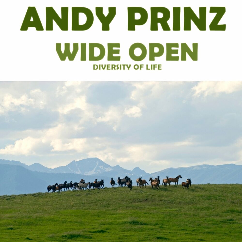 Picture of Wide Open (Diversity of Life)