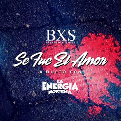 Cover of Se Fue el Amor