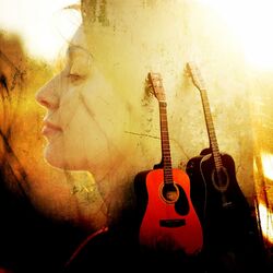 Cover of Acoustic Guitars