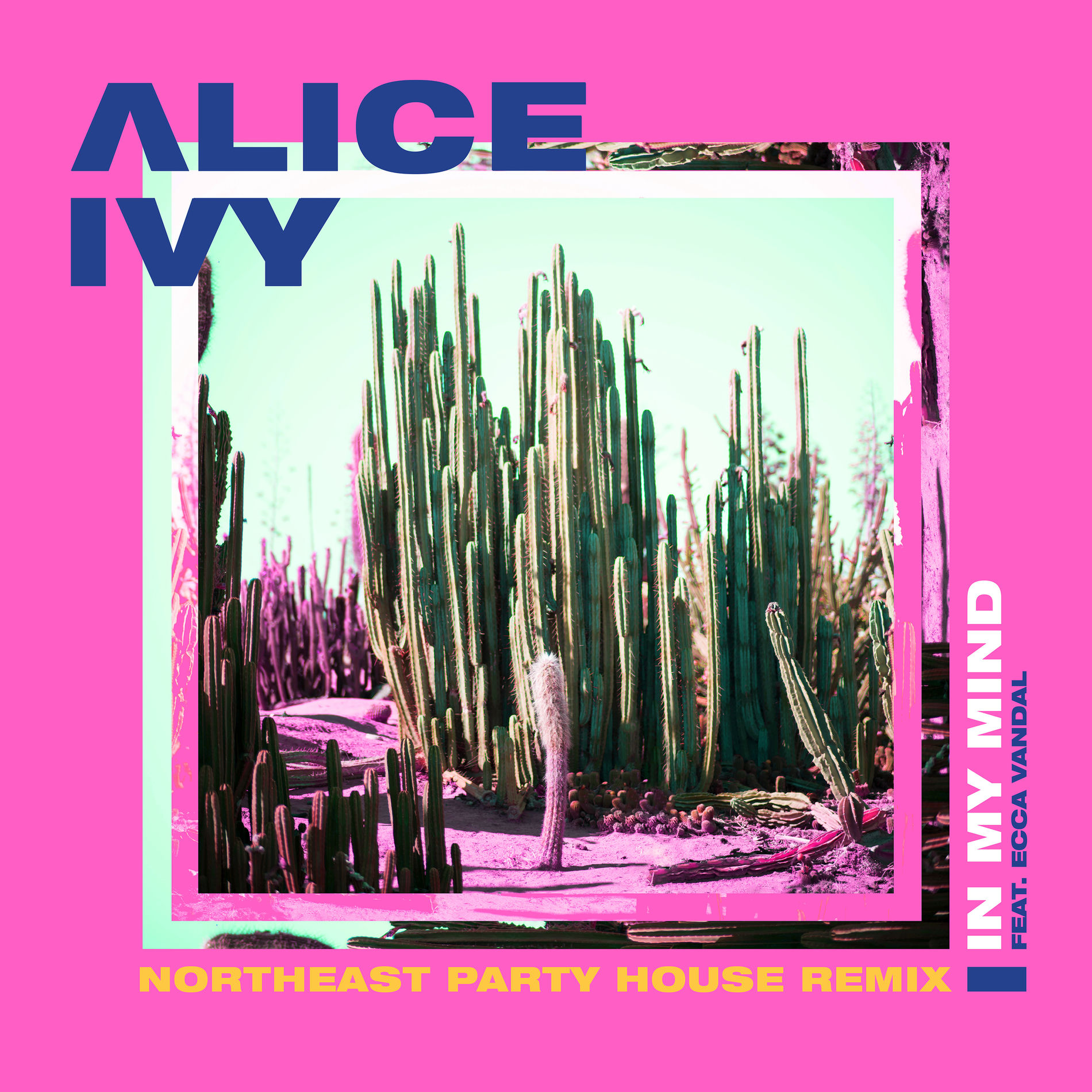 Album cover of In My Mind (Northeast Party House Remix)