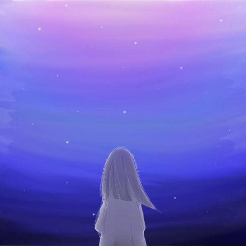 星星的梦