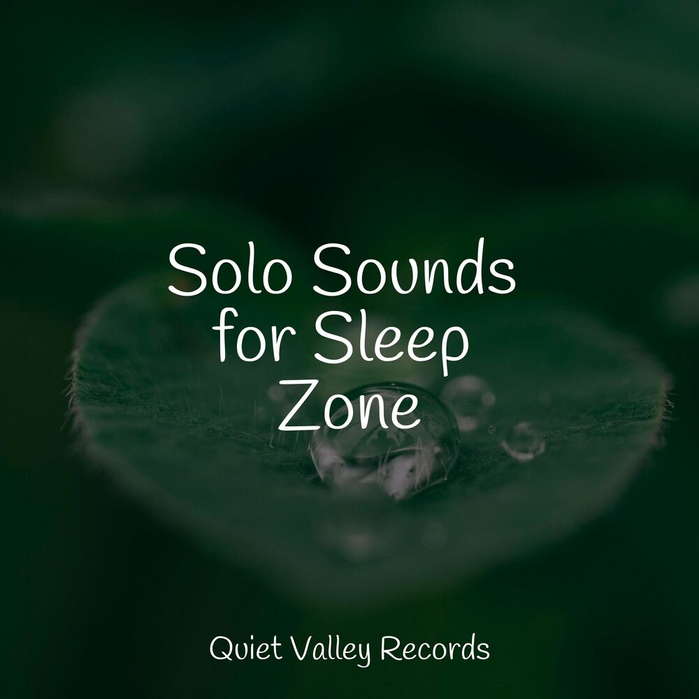 Picture of Solo Sounds for Sleep Zone