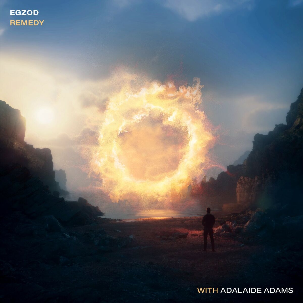 Album cover of Remedy