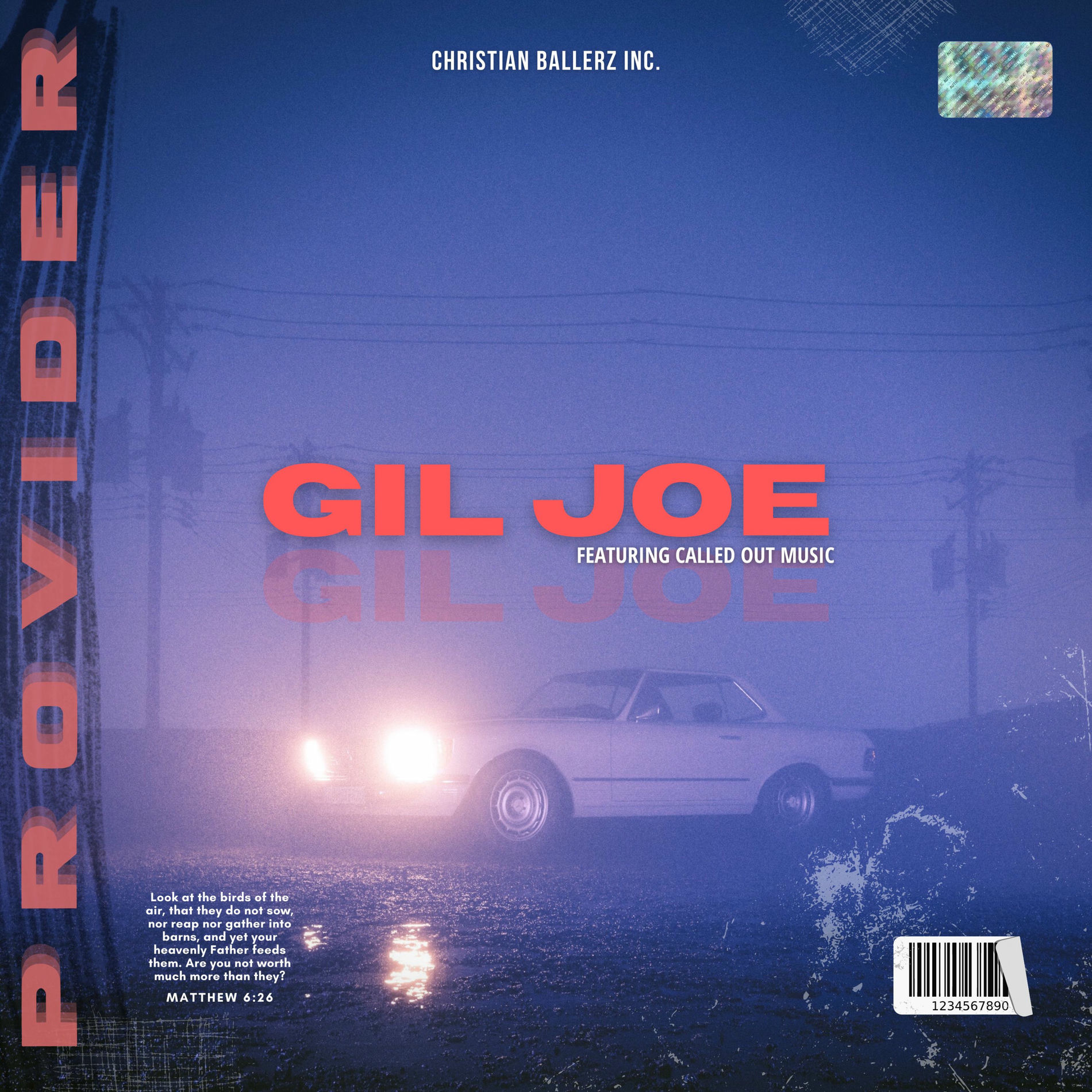 Album cover of Provider