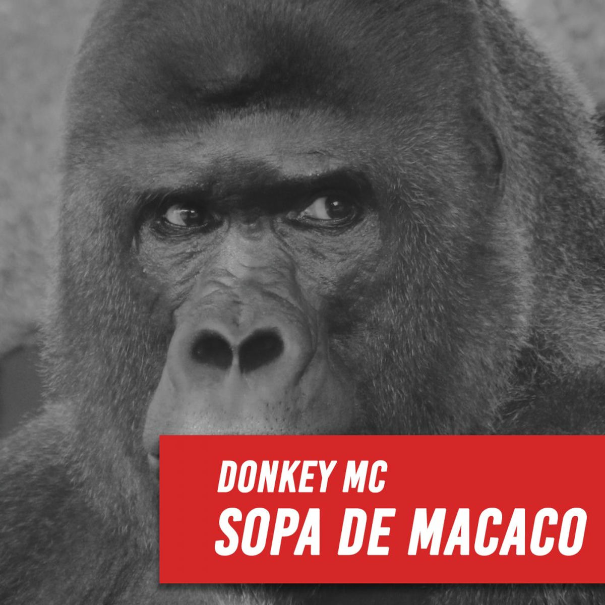 Album cover of Sopa de Macaco