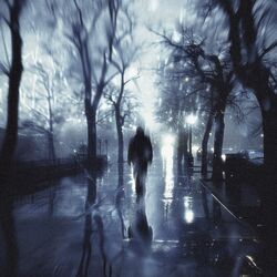 Vanished in Rainfall