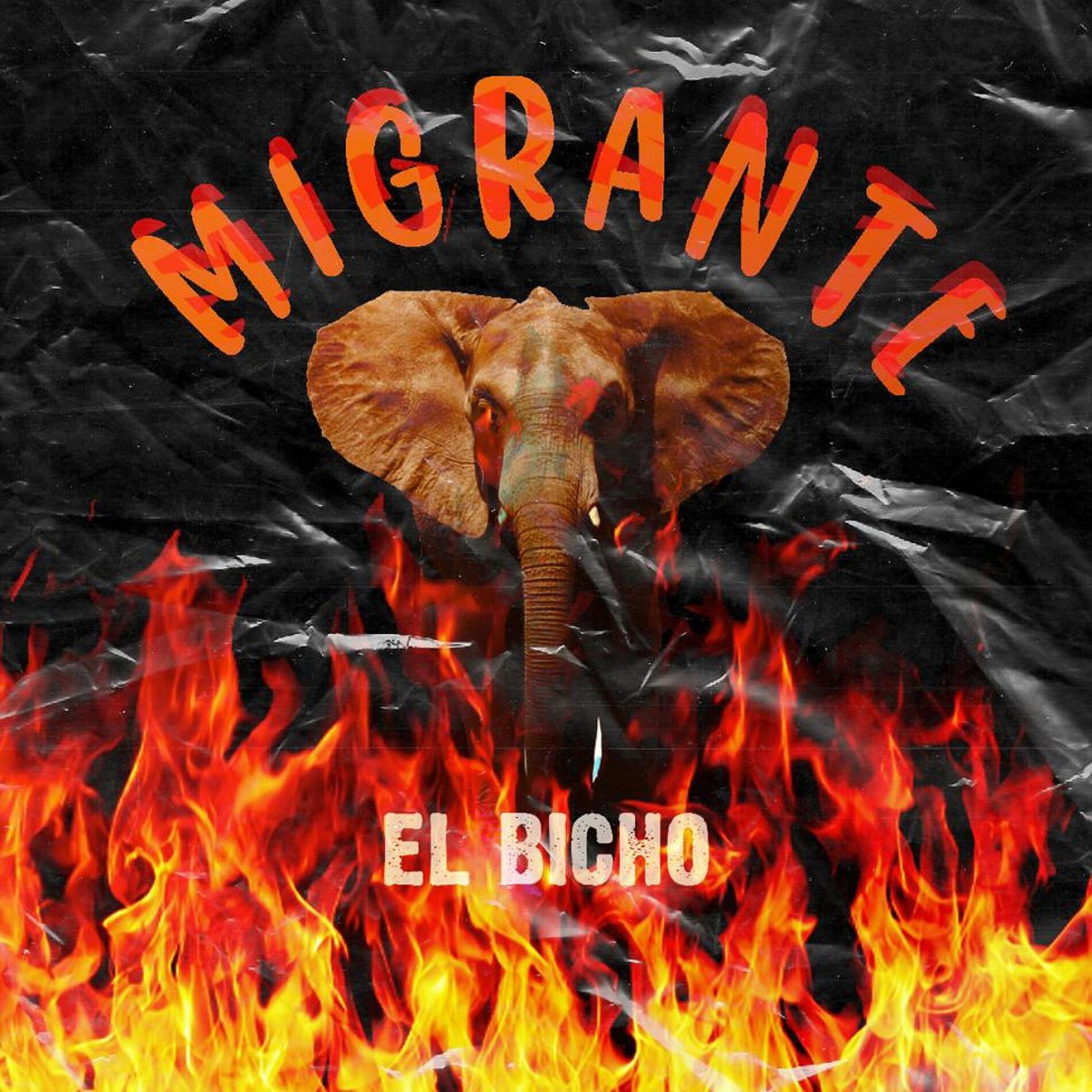 Album cover of Migrante ([])
