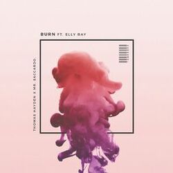 Cover of Burn