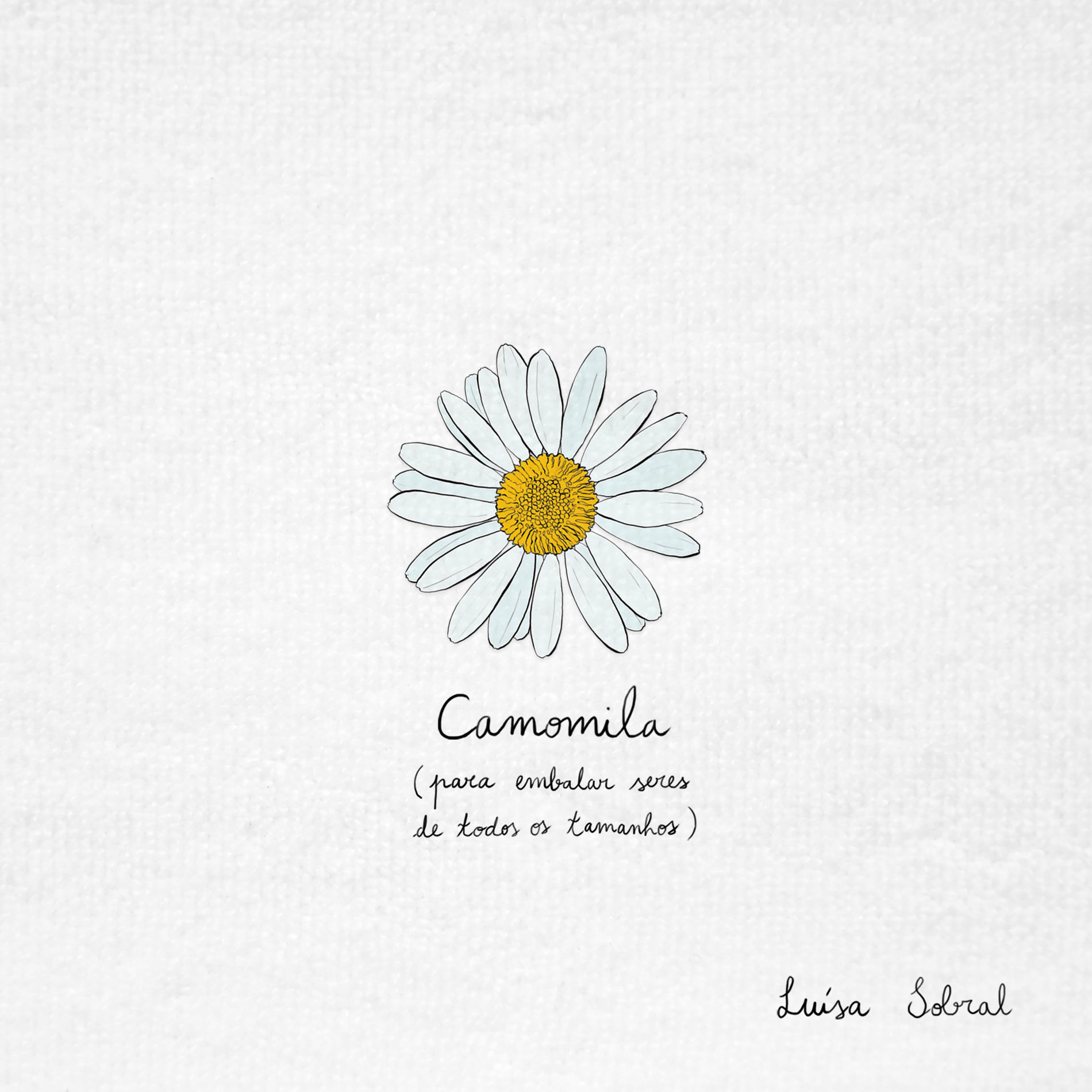 Album cover of Terça-feira (coisas pequeninas)