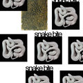Snake Bite