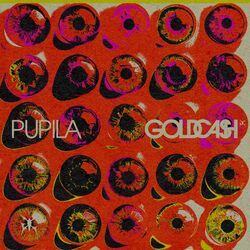 Cover of Pupila