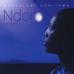 Cover of Ndoro dze Madzinza