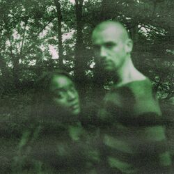 Cover of The Light