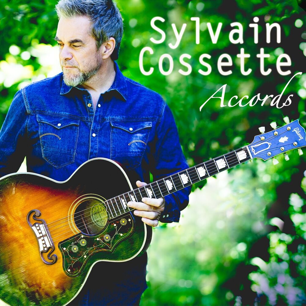 Picture of Accords