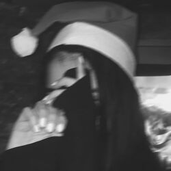 A Nonsense Christmas